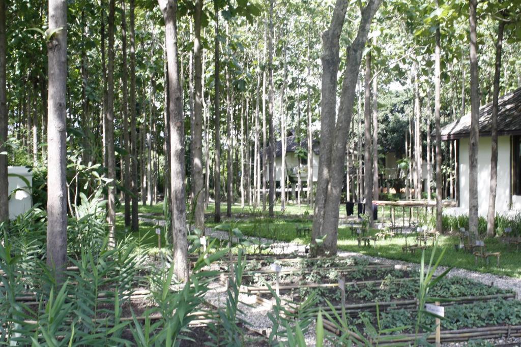 Narittaya Resort And Restaurant Chiang Mai Dış mekan fotoğraf