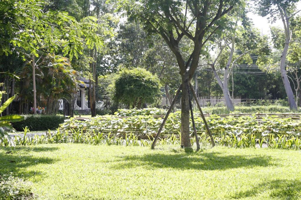 Narittaya Resort And Restaurant Chiang Mai Dış mekan fotoğraf
